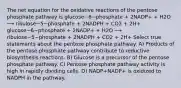 The net equation for the oxidative reactions of the pentose phosphate pathway is glucose−6−phosphate + 2NADP+ + H2O ⟶ ribulose−5−phosphate + 2NADPH + CO2 + 2H+ glucose−6−phosphate + 2NADP+ + H2O ⟶ ribulose−5−phosphate + 2NADPH + CO2 + 2H+ Select true statements about the pentose phosphate pathway. A) Products of the pentose phosphate pathway contribute to reductive biosynthesis reactions. B) Glucose is a precursor of the pentose phosphate pathway. C) Pentose phosphate pathway activity is high in rapidly dividing cells. D) NADP+NADP+ is oxidized to NADPH in the pathway.