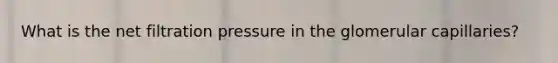 What is the net filtration pressure in the glomerular capillaries?