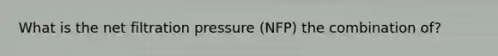 What is the net filtration pressure (NFP) the combination of?