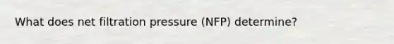 What does net filtration pressure (NFP) determine?