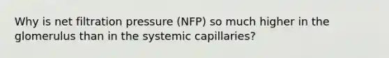 Why is net filtration pressure (NFP) so much higher in the glomerulus than in the systemic capillaries?