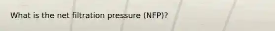 What is the net filtration pressure (NFP)?