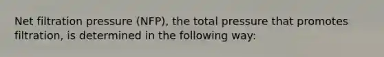 Net filtration pressure (NFP), the total pressure that promotes filtration, is determined in the following way: