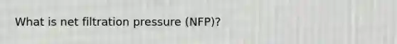 What is net filtration pressure (NFP)?