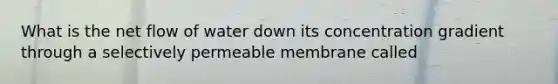 What is the net flow of water down its concentration gradient through a selectively permeable membrane called