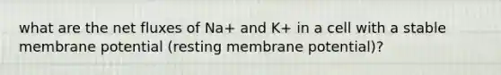 what are the net fluxes of Na+ and K+ in a cell with a stable membrane potential (resting membrane potential)?