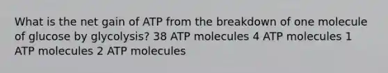 What is the net gain of ATP from the breakdown of one molecule of glucose by glycolysis? 38 ATP molecules 4 ATP molecules 1 ATP molecules 2 ATP molecules