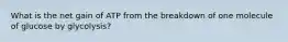 What is the net gain of ATP from the breakdown of one molecule of glucose by glycolysis?