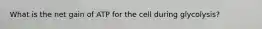 What is the net gain of ATP for the cell during glycolysis?