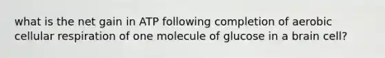 what is the net gain in ATP following completion of aerobic cellular respiration of one molecule of glucose in a brain cell?