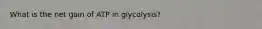 What is the net gain of ATP in glycolysis?