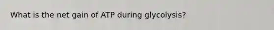 What is the net gain of ATP during glycolysis?