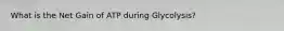 What is the Net Gain of ATP during Glycolysis?