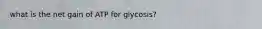 what is the net gain of ATP for glycosis?