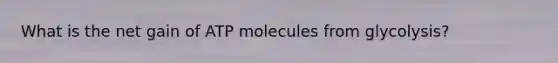 What is the net gain of ATP molecules from glycolysis?