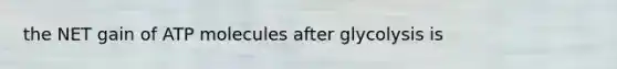 the NET gain of ATP molecules after glycolysis is