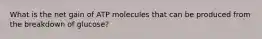 What is the net gain of ATP molecules that can be produced from the breakdown of glucose?