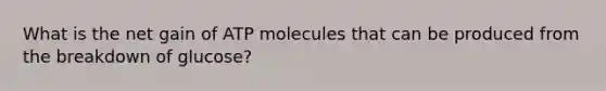 What is the net gain of ATP molecules that can be produced from the breakdown of glucose?