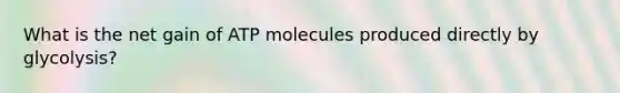 What is the net gain of ATP molecules produced directly by glycolysis?