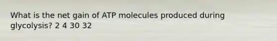 What is the net gain of ATP molecules produced during glycolysis? 2 4 30 32