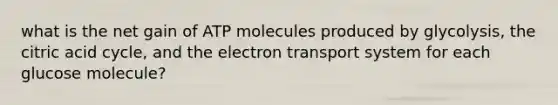 what is the net gain of ATP molecules produced by glycolysis, the citric acid cycle, and the electron transport system for each glucose molecule?