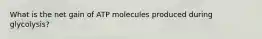 What is the net gain of ATP molecules produced during glycolysis?