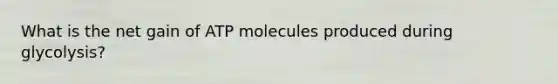 What is the net gain of ATP molecules produced during glycolysis?