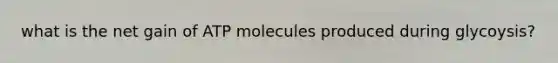 what is the net gain of ATP molecules produced during glycoysis?