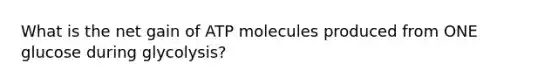 What is the net gain of ATP molecules produced from ONE glucose during glycolysis?