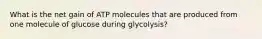 What is the net gain of ATP molecules that are produced from one molecule of glucose during glycolysis?