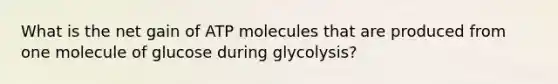 What is the net gain of ATP molecules that are produced from one molecule of glucose during glycolysis?