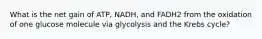 What is the net gain of ATP, NADH, and FADH2 from the oxidation of one glucose molecule via glycolysis and the Krebs cycle?