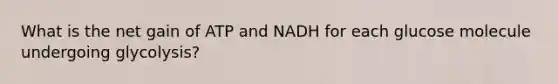 What is the net gain of ATP and NADH for each glucose molecule undergoing glycolysis?