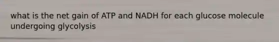 what is the net gain of ATP and NADH for each glucose molecule undergoing glycolysis