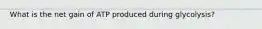 What is the net gain of ATP produced during glycolysis?