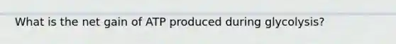 What is the net gain of ATP produced during glycolysis?