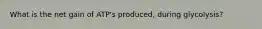 What is the net gain of ATP's produced, during glycolysis?