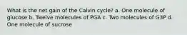 What is the net gain of the Calvin cycle? a. One molecule of glucose b. Twelve molecules of PGA c. Two molecules of G3P d. One molecule of sucrose