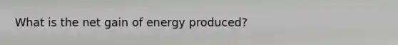 What is the net gain of energy produced?