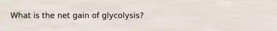 What is the net gain of glycolysis?