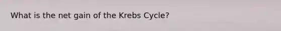 What is the net gain of the Krebs Cycle?