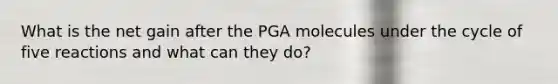 What is the net gain after the PGA molecules under the cycle of five reactions and what can they do?