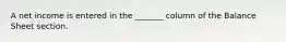 A net income is entered in the _______ column of the Balance Sheet section.