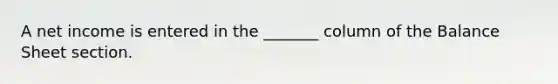 A net income is entered in the _______ column of the Balance Sheet section.