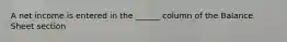 A net income is entered in the ______ column of the Balance Sheet section