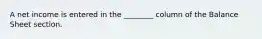 A net income is entered in the ________ column of the Balance Sheet section.