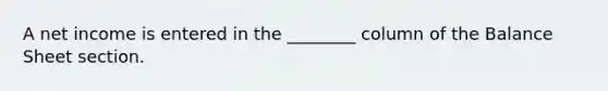 A net income is entered in the ________ column of the Balance Sheet section.