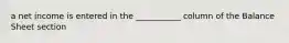 a net income is entered in the ___________ column of the Balance Sheet section