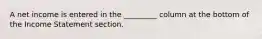 A net income is entered in the _________ column at the bottom of the Income Statement section.