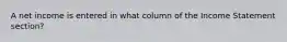 A net income is entered in what column of the Income Statement section?